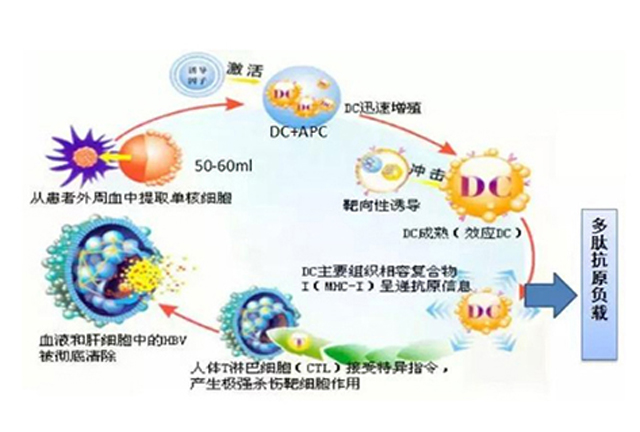 澳门一肖一码必中一肖一码，理性看待彩票与娱乐