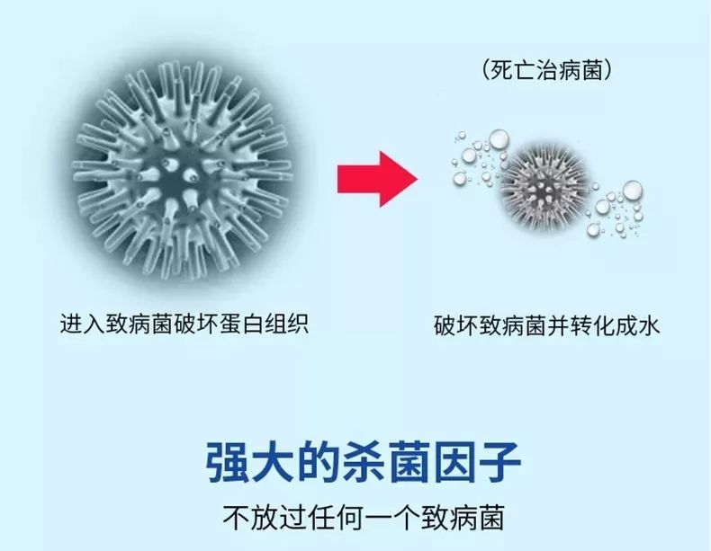 公司招聘 第410页