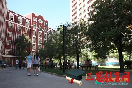 探索与展望，中国青年政治学院录取分数线的深度解析