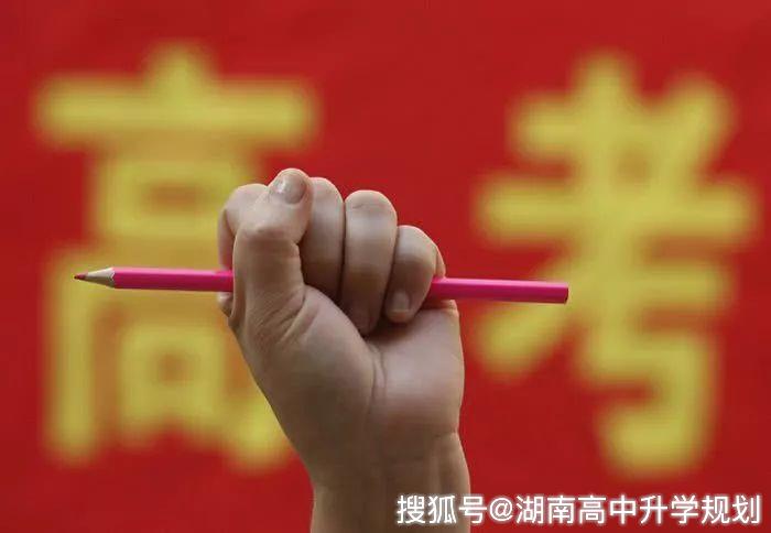 升学之路的挑战与机遇