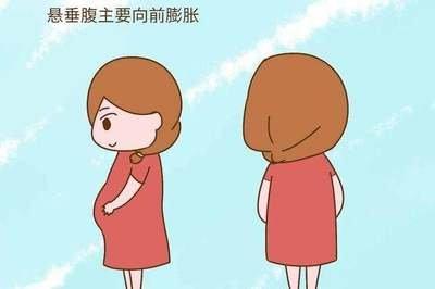 管家婆心水主论坛，深度解析与理性探讨管家婆心水论高手论坛