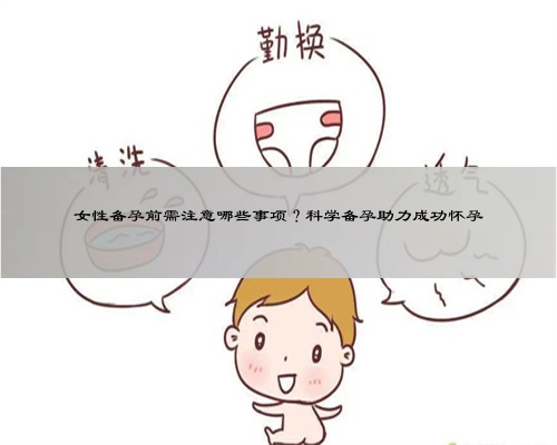 科学备孕，如何成功怀孕的全面指南