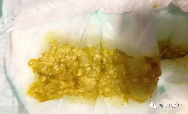 爱丽丝 第297页