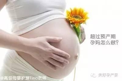 排列五1000期走势图，解码数字背后的秘密