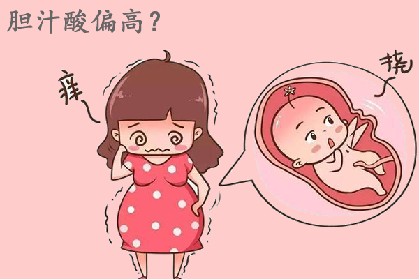 预防与应对策略