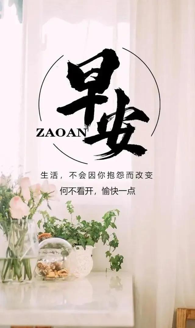 澳门码今期开奖结果，揭秘与展望澳门码今期开奖结果查询