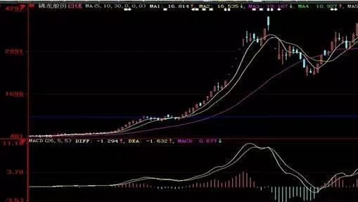 排列5基本走势图带连线综合版，深度解析与策略指南
