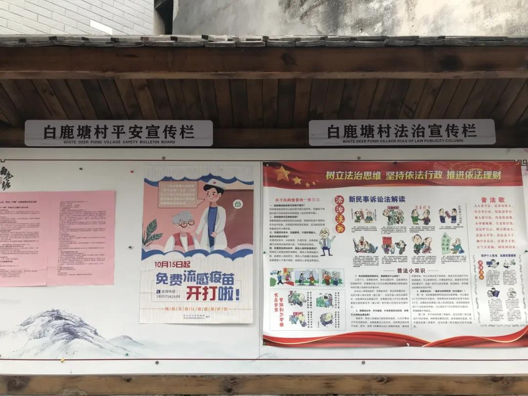浙江省十一选五，透视数字背后的走势奥秘