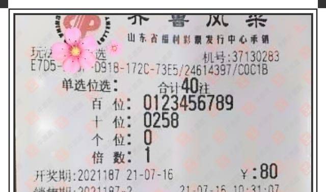福彩3D17500论坛，彩民的智慧交流平台