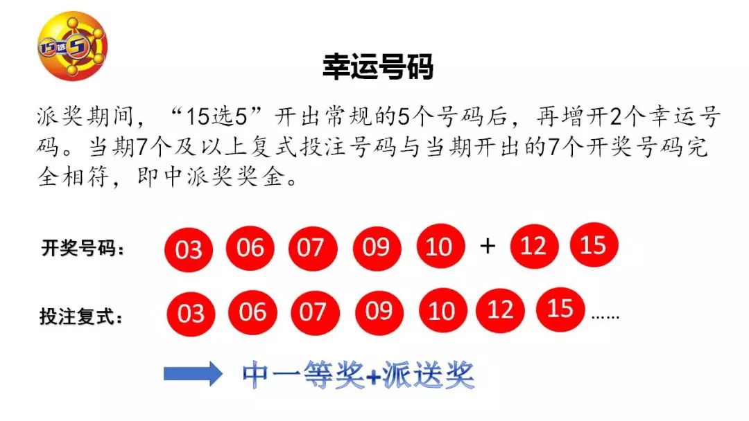 华东六省联网十五选五开奖结果，数字背后的公益与幸运
