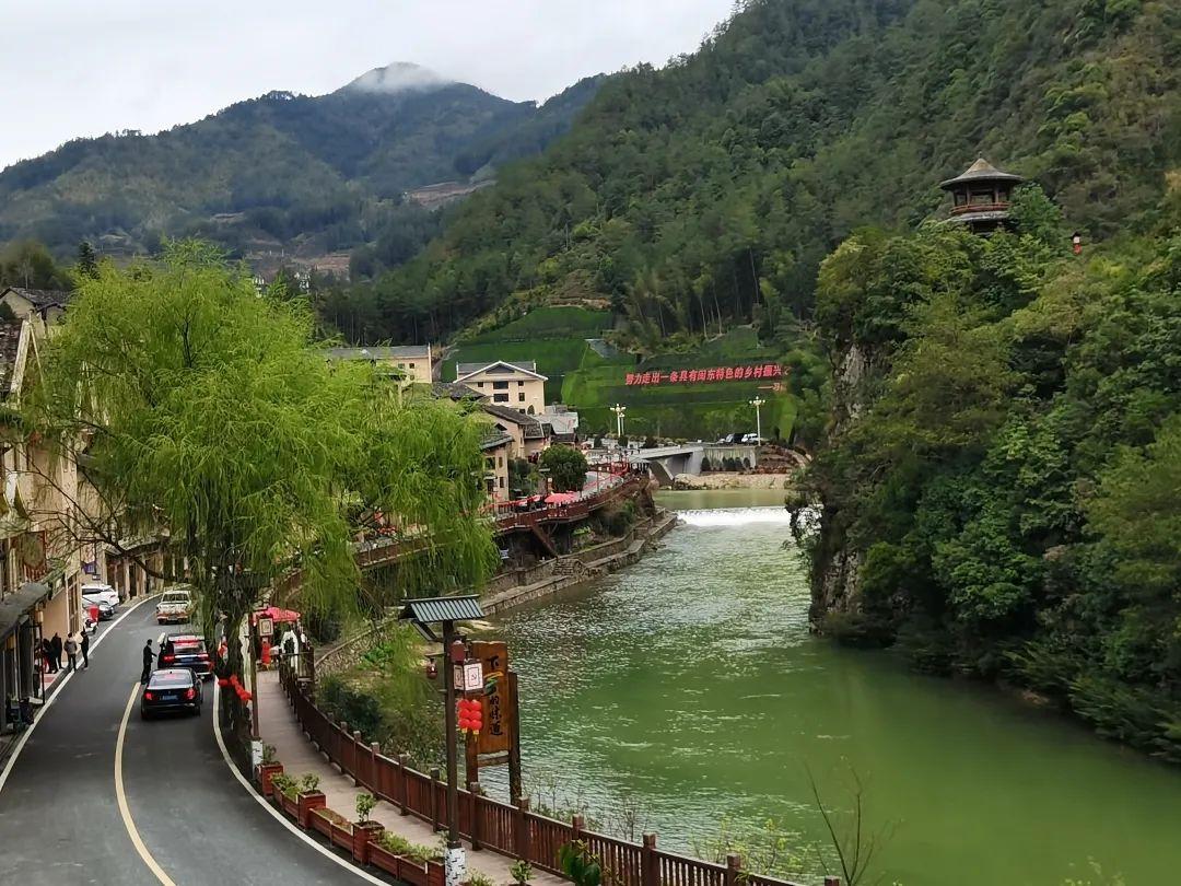 福建体彩31选7尾数走势图，揭秘数字背后的奥秘