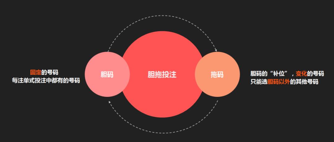 双色球胆拖选号器，智能选号的智慧之选