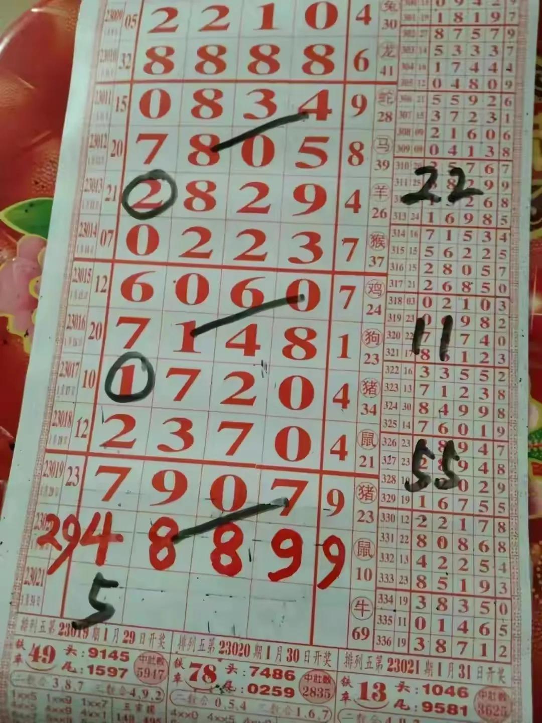 31选7走势图