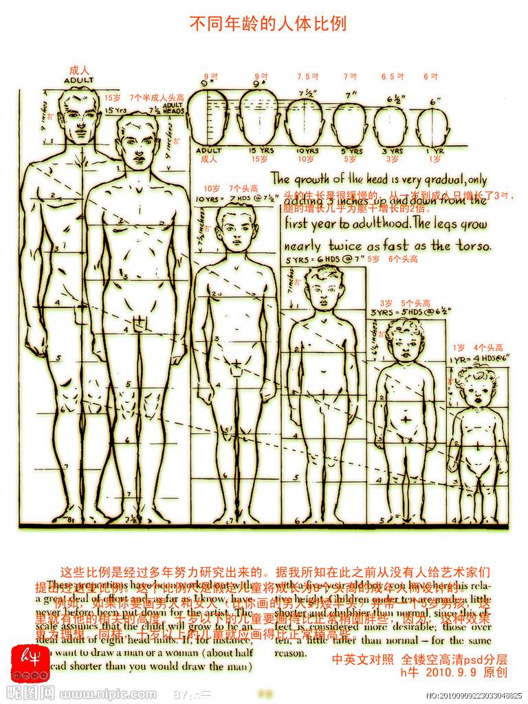 3D图怎么画，从入门到进阶的全面指南