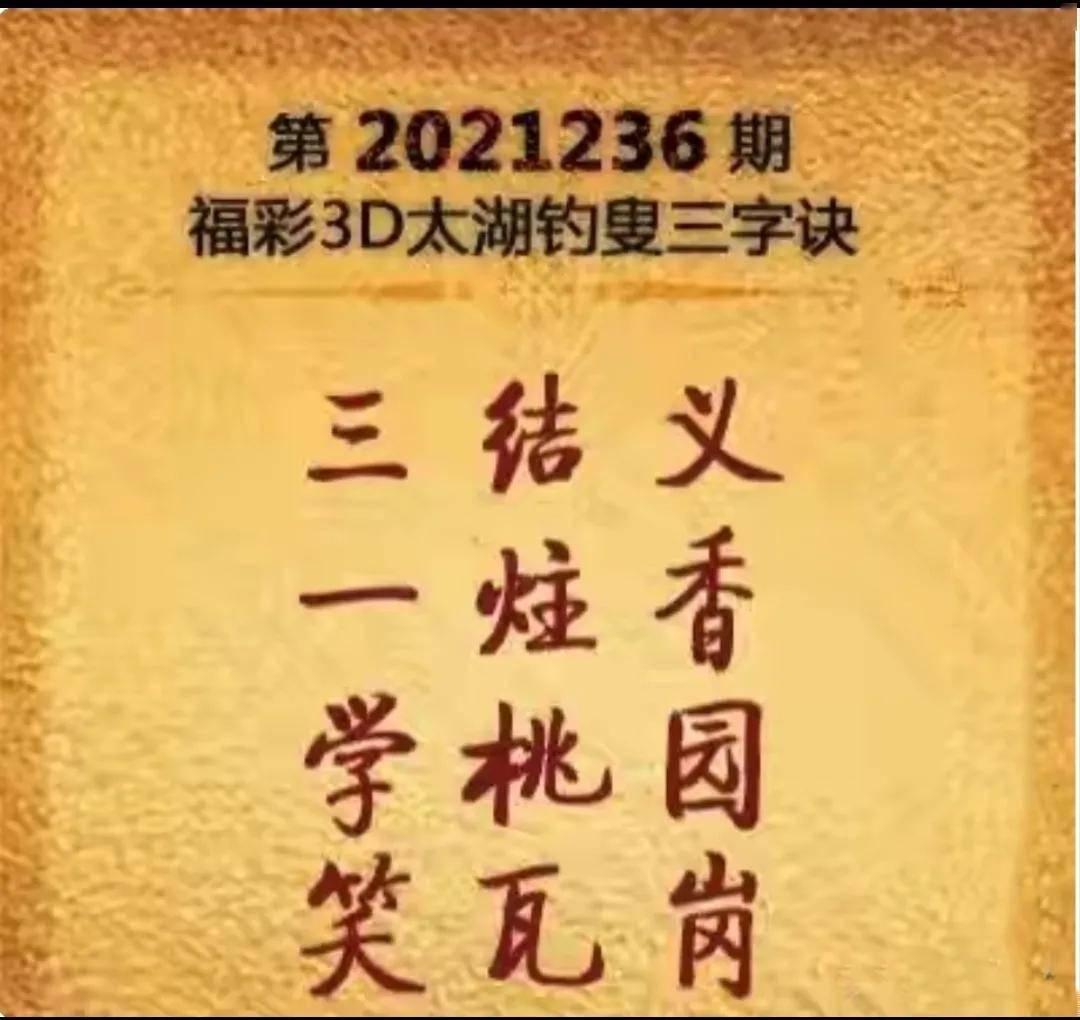今日福彩3d正版太湖字谜，解密与乐趣的双重体验