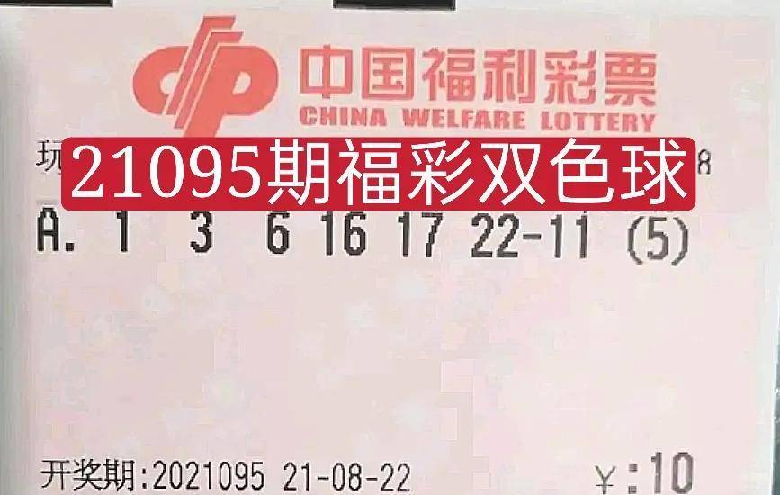 推荐一个中奖号，理性与幸运的完美结合