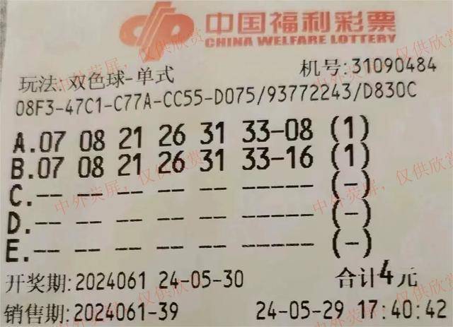 彩票查询，双色球55期深度解析与中奖秘籍