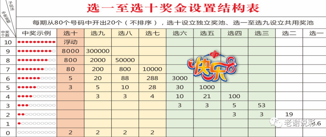 选10胆拖计算器，精准投注的智慧之选