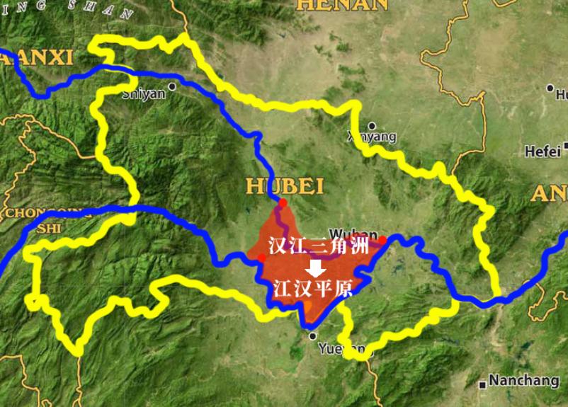湖北十一选五开奖结果走势图，数字背后的奥秘与趋势分析