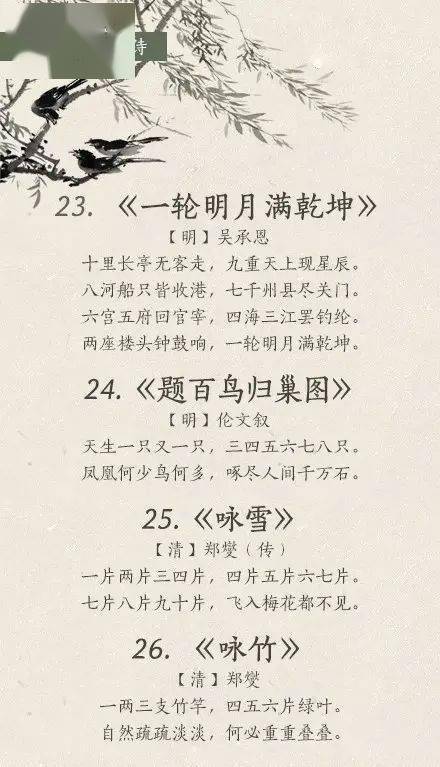 双色球诗迷汇总，解码数字背后的诗意与智慧