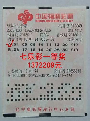 探索南国彩票七星彩的奥秘，揭秘南国彩票七星彩讨论坛的精彩世界