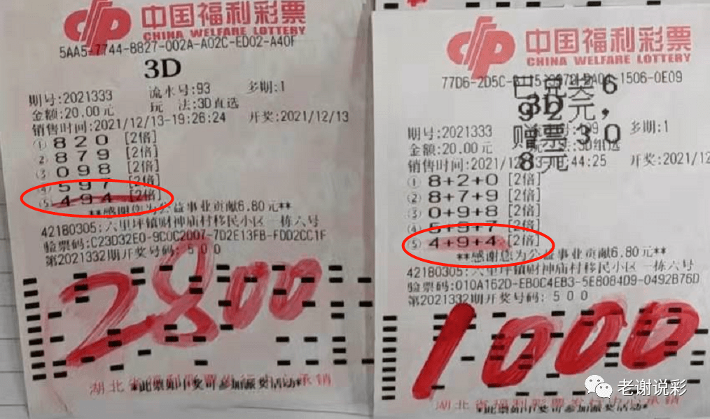 今日彩票3D试机号揭秘，探寻幸运之门