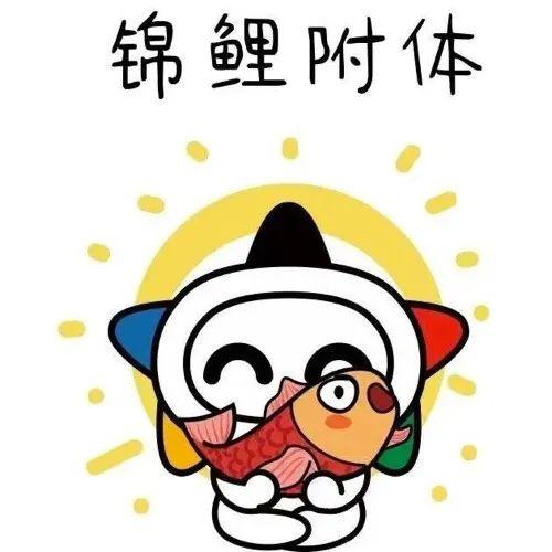 彩票大乐透玩法规则详解，解锁幸运之门的钥匙