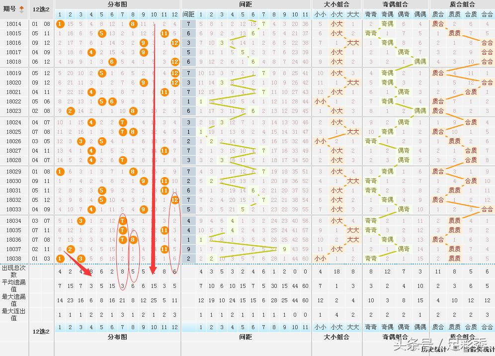 专家解析大乐透今晚开奖结果，概率与趋势的深度剖析