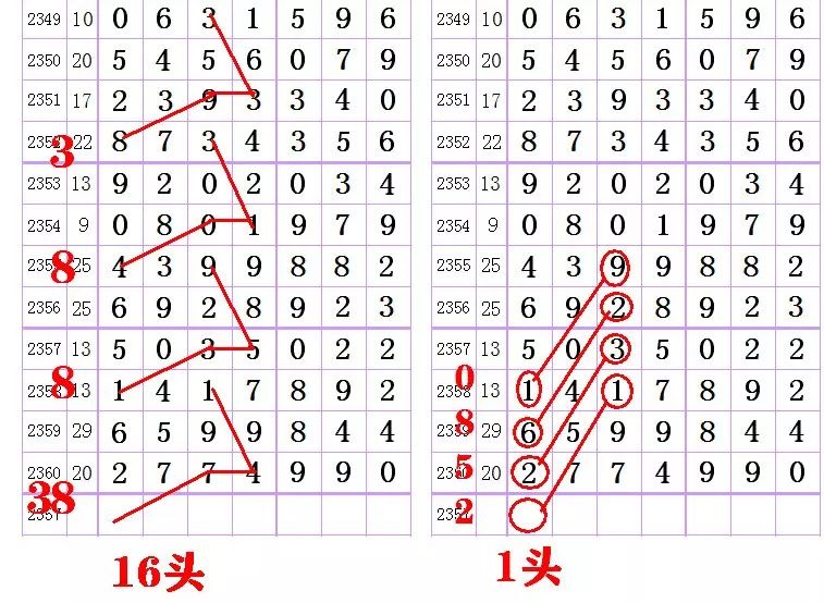 探索特区七星彩论坛，琼粤广受的独特魅力与影响