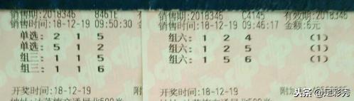 乐透乐3D论坛，高手的智慧与策略分享