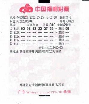 今日全国联销图谜双色球，揭秘彩票背后的智慧与乐趣