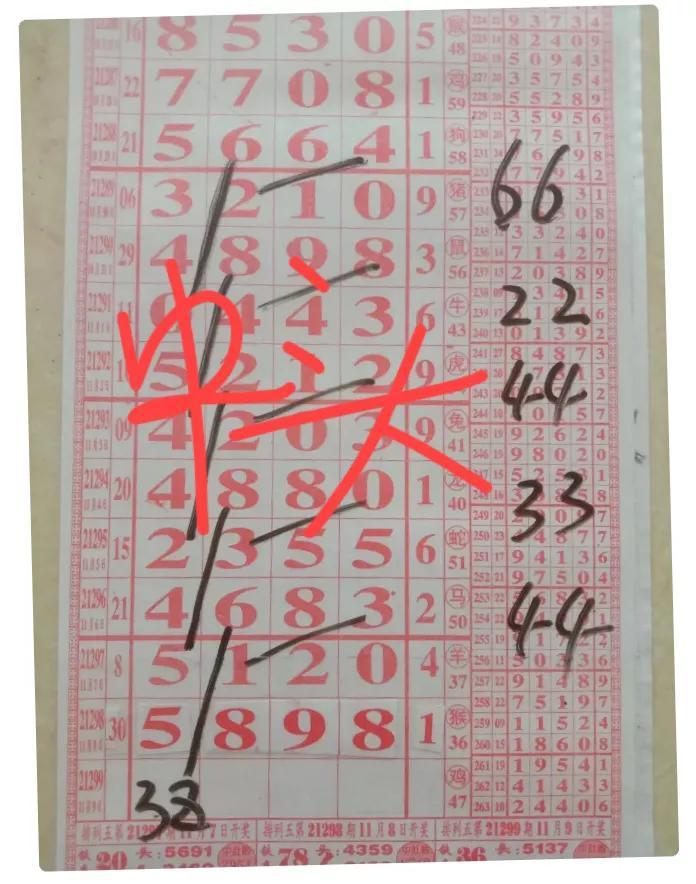 排列五近50期开奖结果数字分析