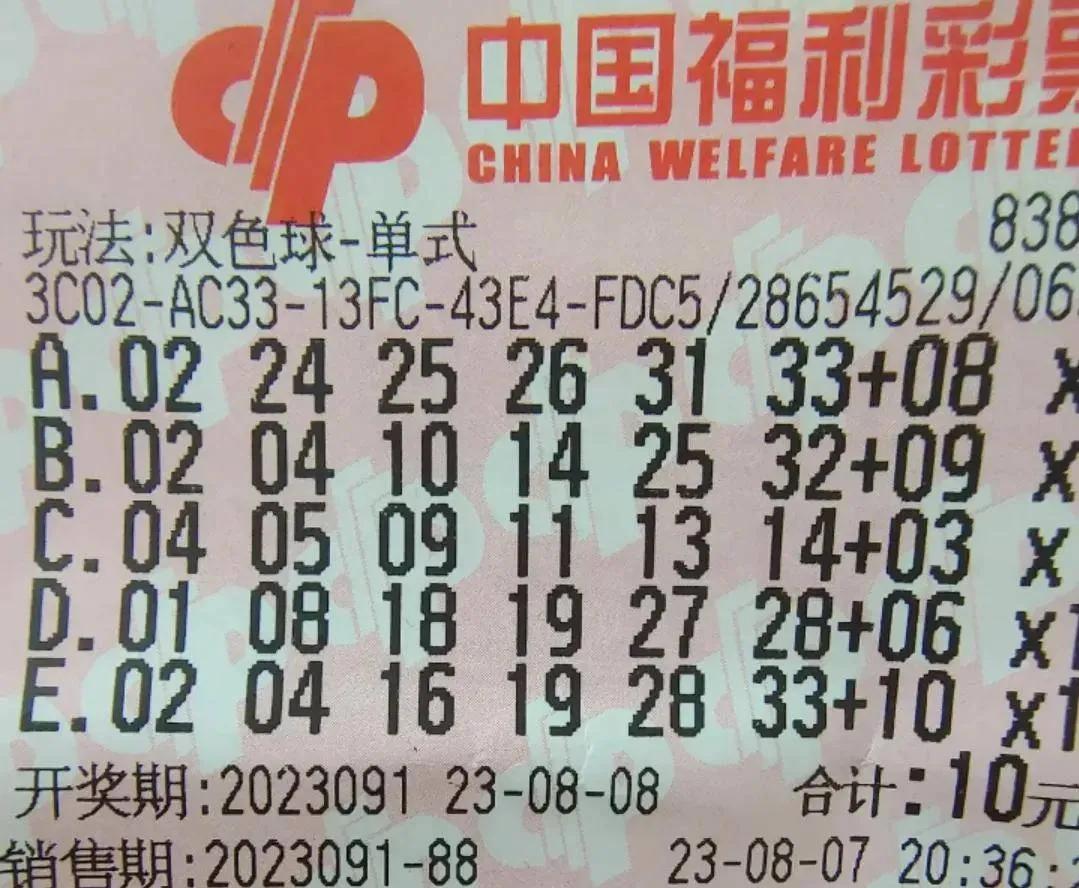 体育彩票，揭秘开奖号码背后的奥秘与乐趣
