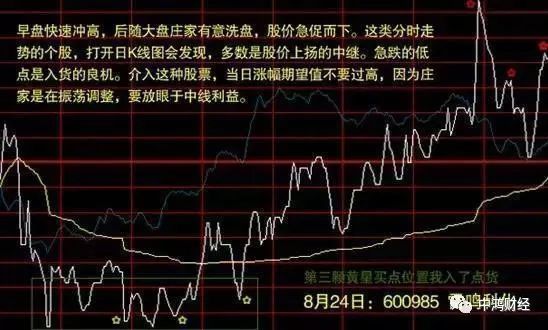 2016年浙江彩票市场走势图，数字背后的故事