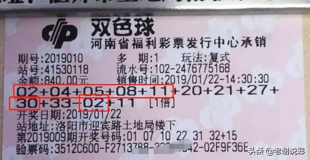 2048年香港开奖记录查询，透视未来彩票文化的数字化变革2024年香港开奖记录查询46期中奖号码