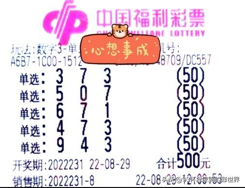 探寻幸运之匙，揭秘中国福利彩票35选7单式中奖号码的奥秘