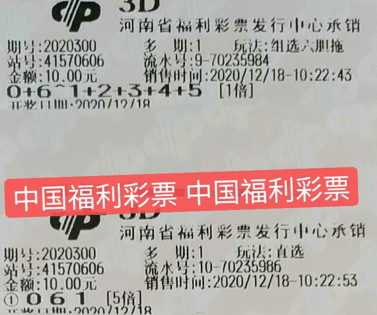 2043年，探索未来彩票的数字化之路—以澳门六开彩为例49853澳彩开奖查询资料