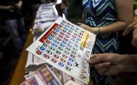 揭秘香港特区总站开奖结果，公正、透明与公众信任的基石