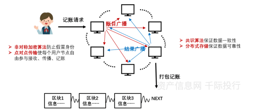 号码认证，价格与价值的深度剖析