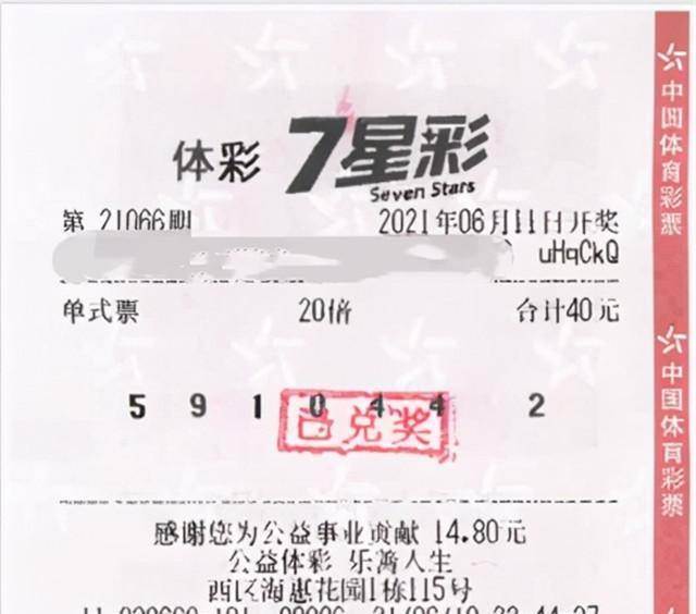 排三3D试机号今日更新，揭秘彩票背后的数字游戏