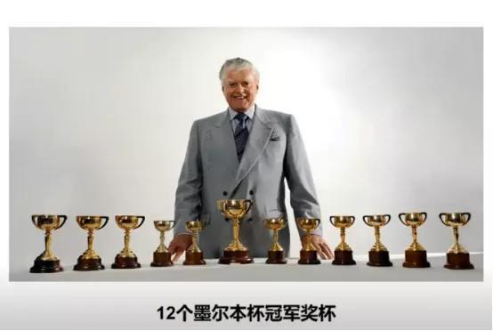2019香港马会资料大全，免费资源与精彩赛事概览香港2021年马会资料大全