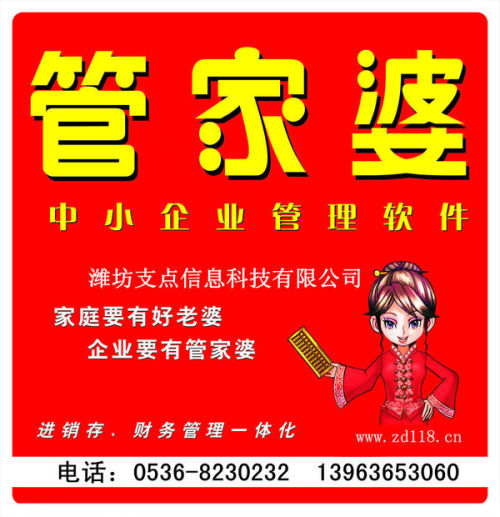 管家婆正版四不像图，重塑企业管理的未来管家婆正版四不像图片大全