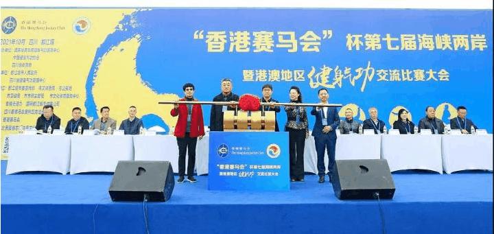 2019年正版马会资料大全，全面解析与使用指南2021马会资料精选免费大全