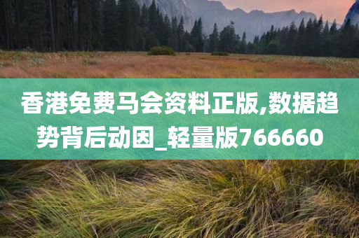 2023年，拥抱正版资料，共创知识新纪元正版资料2022年正版资料网站