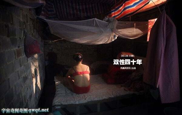双性人生自己
