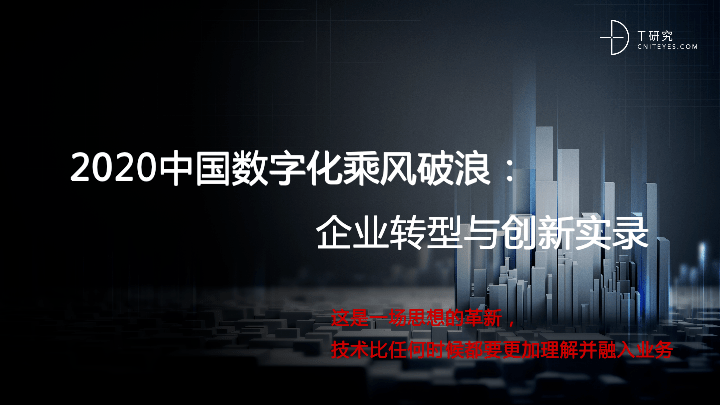 探索数字世界的视觉盛宴，图库论坛的无限魅力高手论坛 49图库论坛