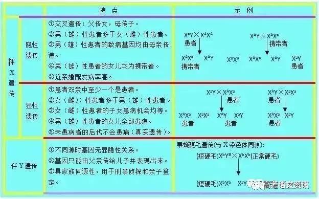 揭秘四肖选一中的中特策略与心理分析四肖选一肖一特