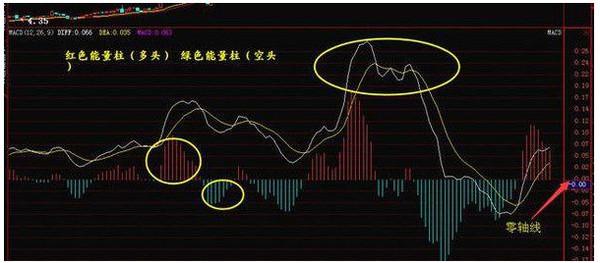 精准预测，特马资料最准的奥秘正版特马资料免费资料大全