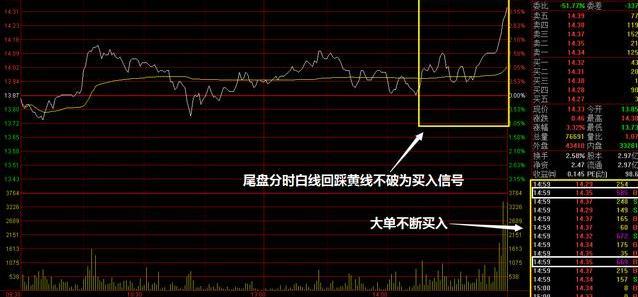 精准特马资料