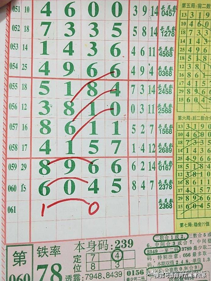 探索二肖3码的奥秘，揭秘数字背后的智慧与乐趣二肖3码今天的资料